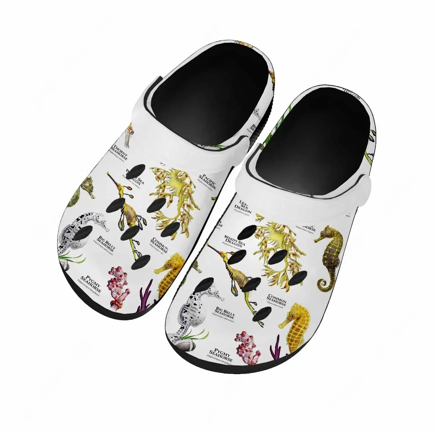 Seahorse Sandals Women Teenage - Men Shoes High 评论和价格